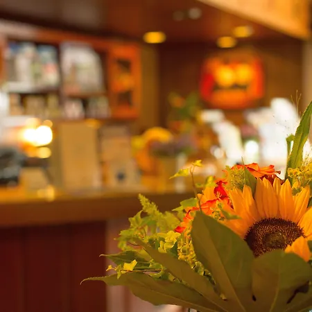 Emmerich Hotel Winningen