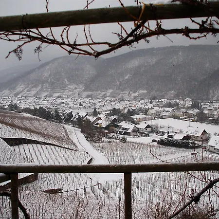 Hotel Hotel Emmerich Winningen