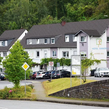 Hotel Emmerich 2*
