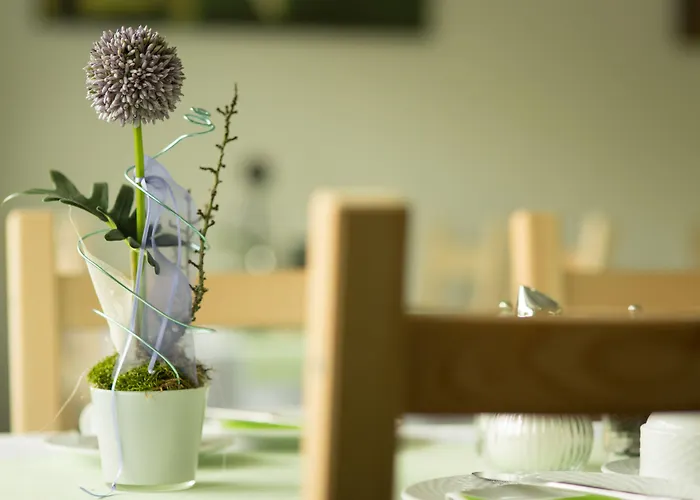 Emmerich 2* 빈닌겐