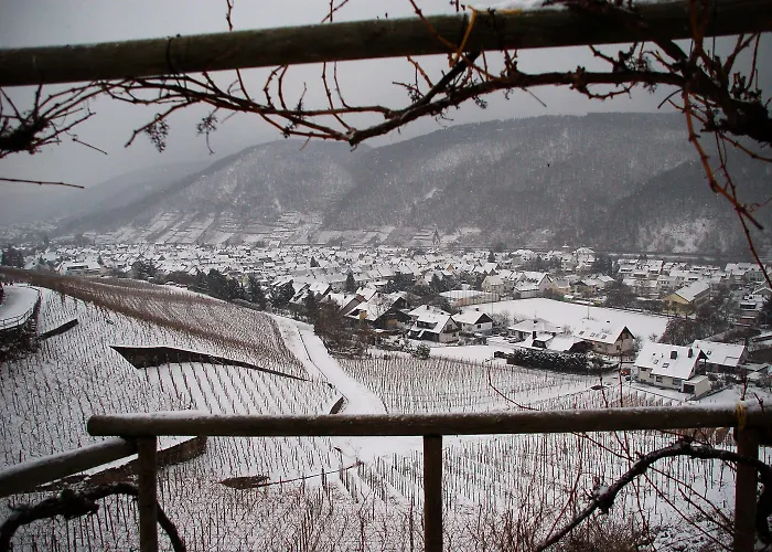 호텔 Emmerich 빈닌겐